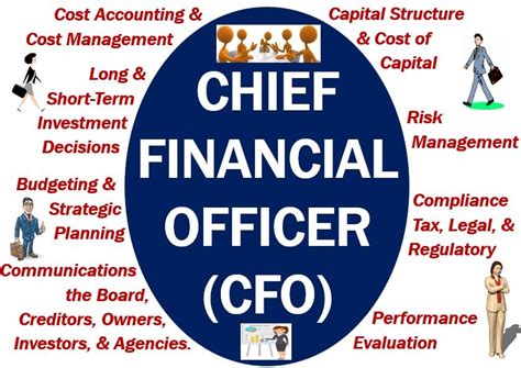 cviefo|Meaning of chief financial officer in English .